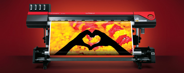 Fex and Eco Solvent printer